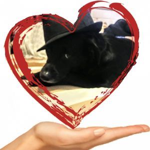 Meet your Posher, Tabatha